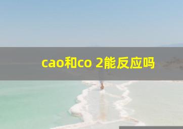 cao和co 2能反应吗